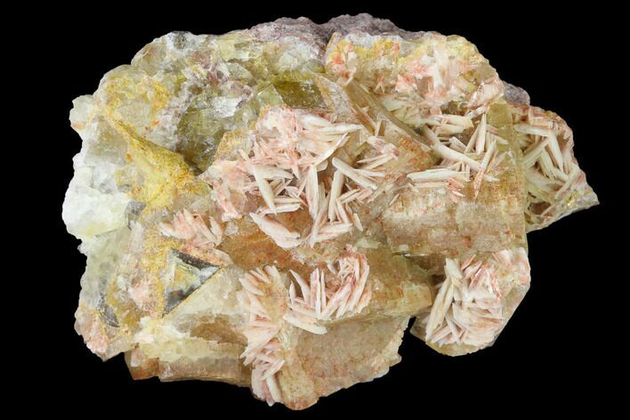 Bladed Barite on Yellow Cubic Fluorite Crystals - Morocco #141648